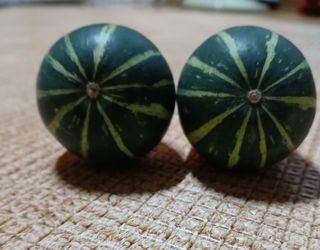 인생은 소풍처럼님의 자유주제 · 자유게시판 작성글 사진