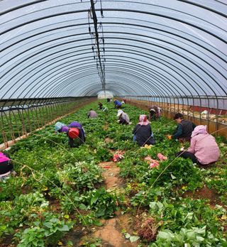 새내기님의 자유주제 · 자유게시판 작성글 사진