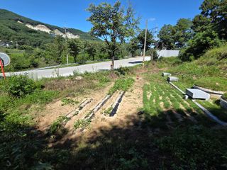 백형석님의 자유주제 · 자유게시판 작성글 사진