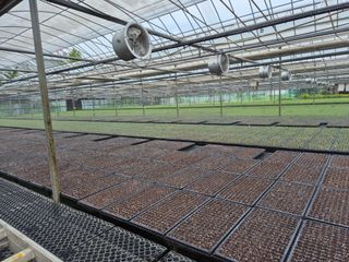 청운농원육묘장님의 자유주제 · 자유게시판 작성글 사진