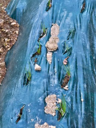 다육사랑 루루사랑님의 자유주제 · 자유게시판 작성글 사진