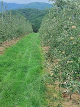 팜모닝 자유주제·자유게시판 게시글 이미지