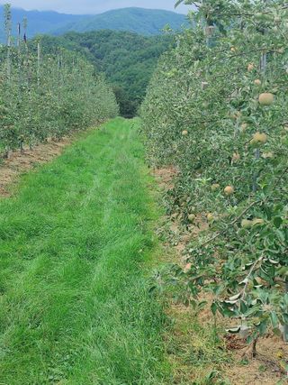 숲속의사나이님의 자유주제 · 자유게시판 작성글 사진