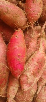 팜모닝 · 게시글 이미지