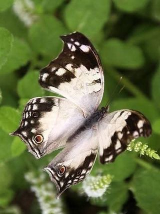 안길원님의 자유주제 · 자유게시판 작성글 사진