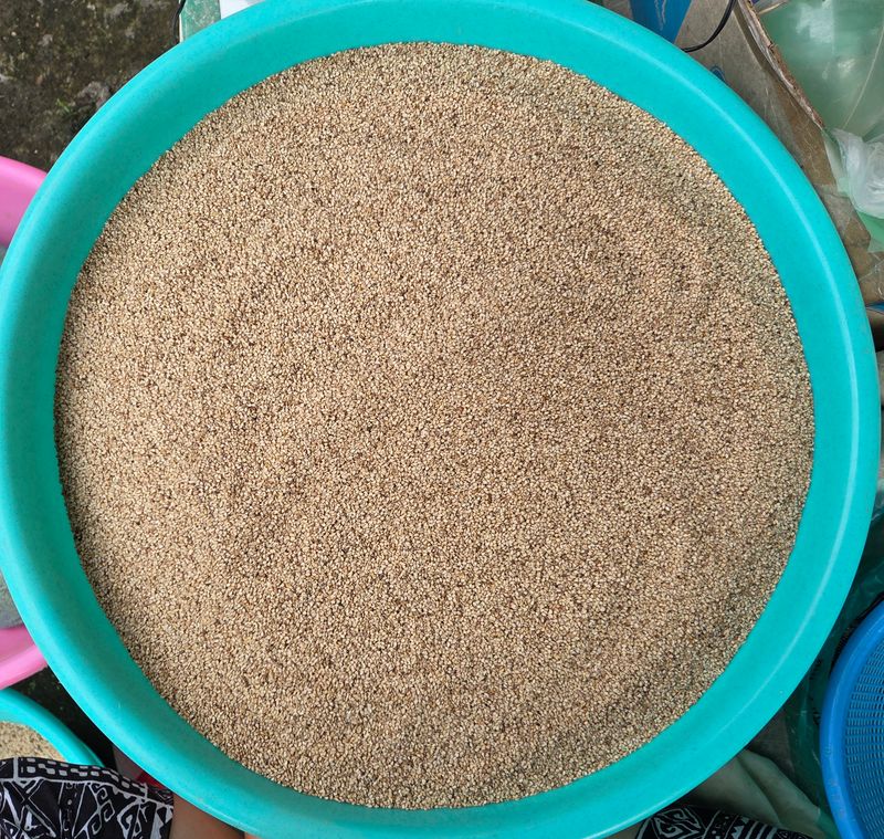 장터 상품 [25년산 햇참깨 5kg ] 썸네일