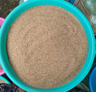 knlee님의 작성글 사진