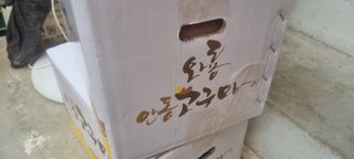 박사원농장님의 작성글 사진