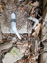 팜모닝 자유주제·자유게시판 게시글 이미지