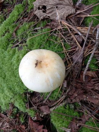 연향님의 자유주제 · 자유게시판 작성글 사진