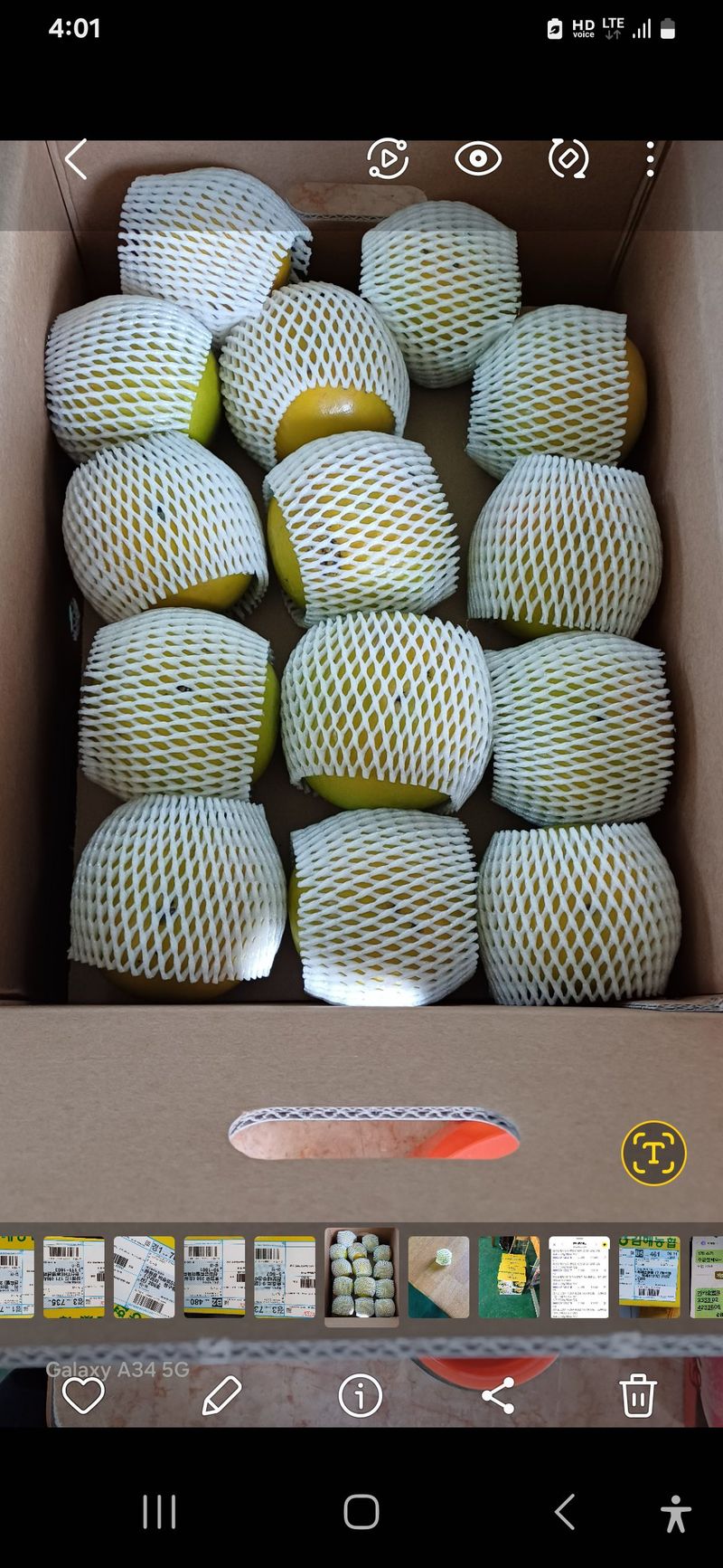 도종태님의 장터 판매 상품 [태추단감  5kg] 첨부 사진