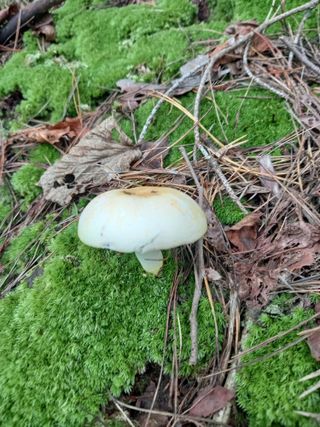 연향님의 자유주제 · 자유게시판 작성글 사진