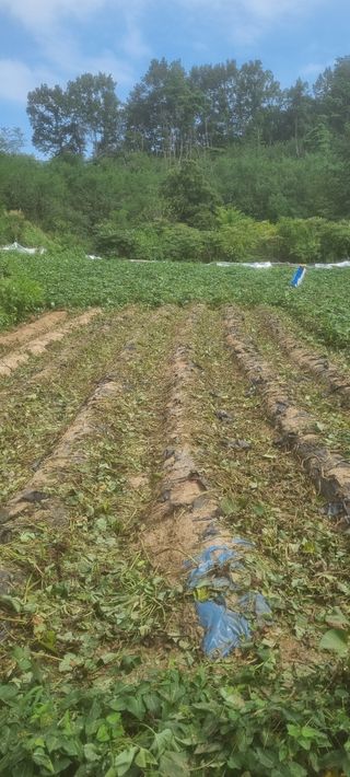 박사원농장님의 작성글 사진