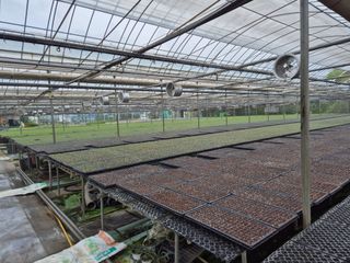 청운농원육묘장님의 자유주제 · 자유게시판 작성글 사진