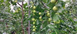 전미선님의 자유주제 · 사진전 작성글 사진