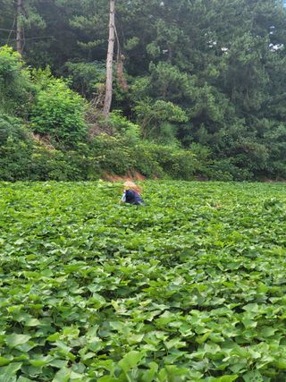 새내기님의 자유주제 · 자유게시판 작성글 사진