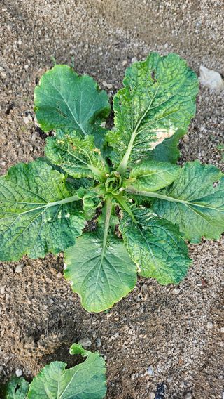 토마토16716님의 자유주제 · 자유게시판 작성글 사진