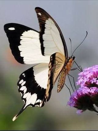 안길원님의 자유주제 · 자유게시판 작성글 사진