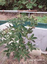 팜모닝 자유주제·자유게시판 게시글 이미지