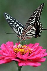 팜모닝 자유주제·자유게시판 게시글 이미지