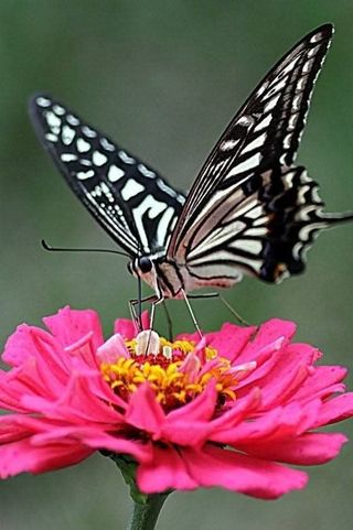 안길원님의 자유주제 · 자유게시판 작성글 사진