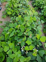 팜모닝 자유주제·자유게시판 게시글 이미지