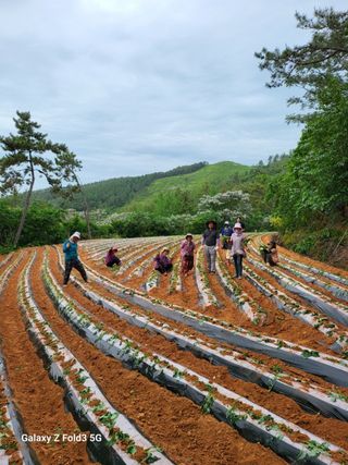 새내기님의 자유주제 · 자유게시판 작성글 사진