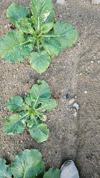 토마토16716님의 자유주제 · 자유게시판 작성글 사진