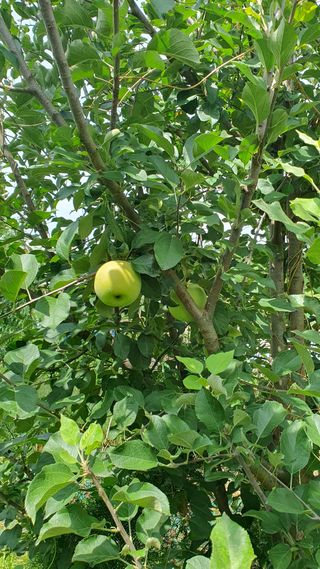 김태정님의 자유주제 · 자유게시판 작성글 사진