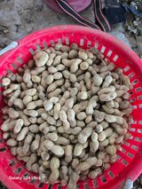 팜모닝 · 게시글 이미지