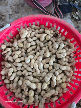 정무이님의 작성글 사진