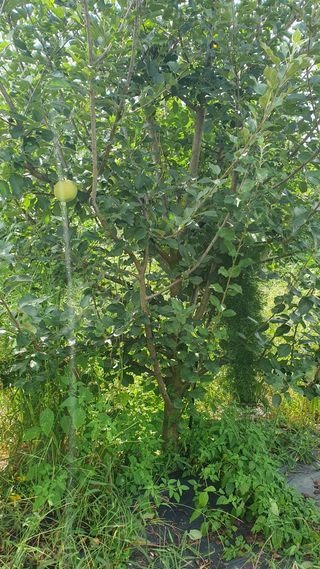 김태정님의 자유주제 · 자유게시판 작성글 사진