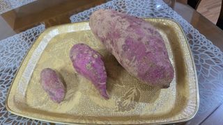 박재규님의 자유주제 · 자유게시판 작성글 사진