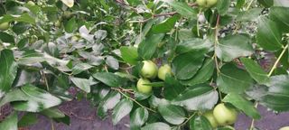 전미선님의 자유주제 · 사진전 작성글 사진