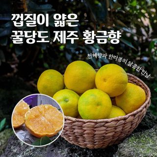 양애숙님의 작성글 사진