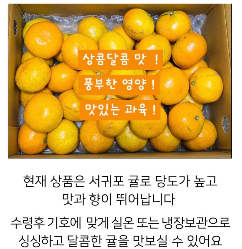 농수사님의 장터 판매 상품 [제주 서귀포 감귤 3키로 산지무료직송] 첨부 사진
