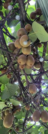 팜모닝 자유주제·자유게시판 게시글 이미지