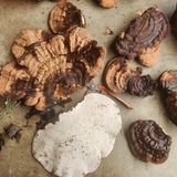 팜모닝 자유주제·자유게시판 게시글 이미지