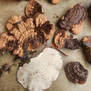 들깨님의 자유주제 · 자유게시판 작성글 사진