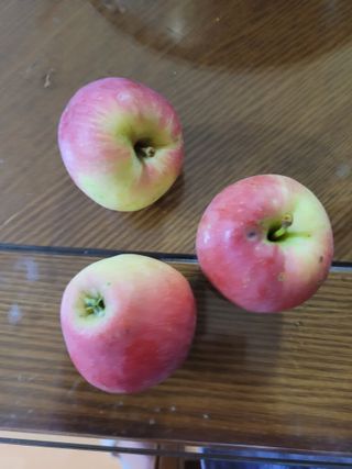 땅땅님의 자유주제 · 자유게시판 작성글 사진