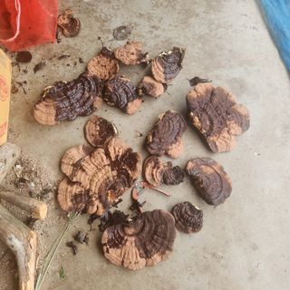 들깨님의 자유주제 · 자유게시판 작성글 사진