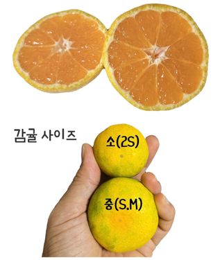 농수사님의 작성글 사진