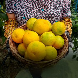 양애숙님의 작성글 사진