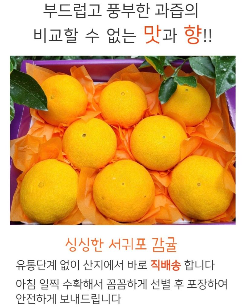 농수사님의 장터 판매 상품 [제주 서귀포 감귤 3키로 산지무료직송] 첨부 사진