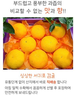 농수사님의 작성글 사진