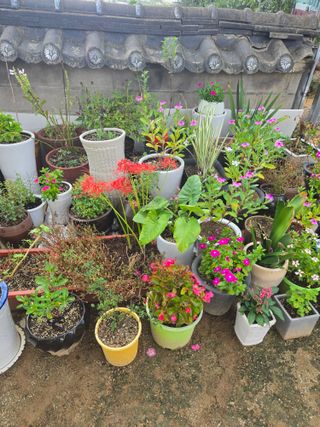 자연인님의 자유주제 · 자유게시판 작성글 사진