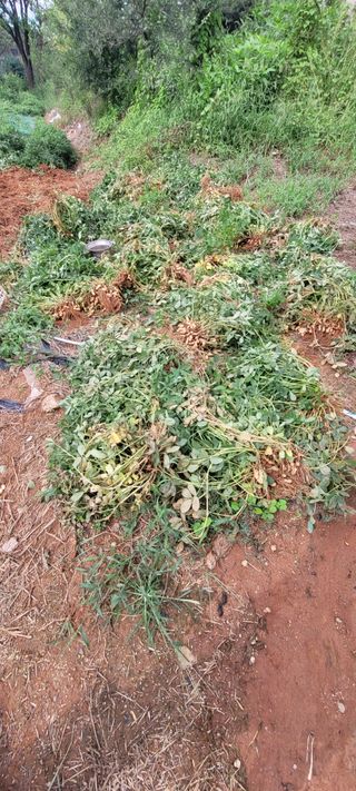 한성님의 자유주제 · 자유게시판 작성글 사진