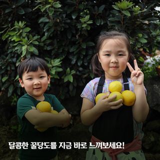 양애숙님의 작성글 사진