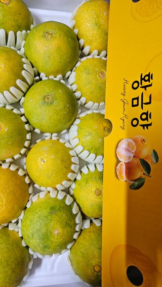 고강농원 강영자님의 작성글 사진