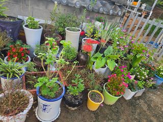 자연인님의 자유주제 · 자유게시판 작성글 사진